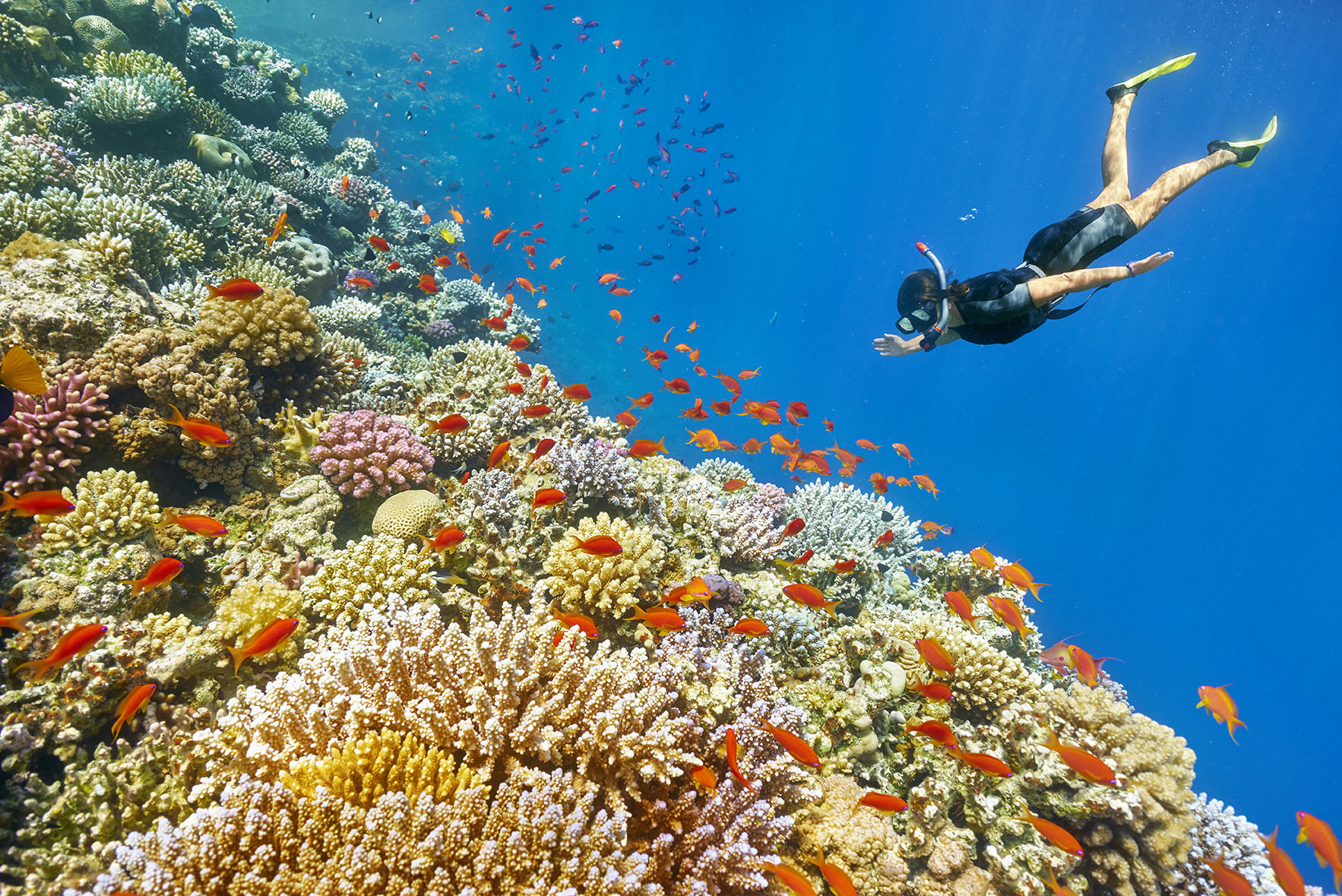 Aura Tours Egypt