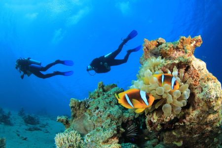 9 Day Cairo, Nile Cruise and Sharm El Sheikh