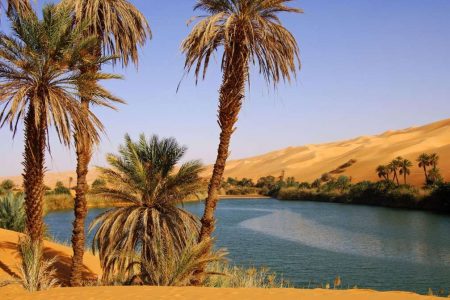 Overnight White Desert from Cairo (Sharing)- Code SDC1N1